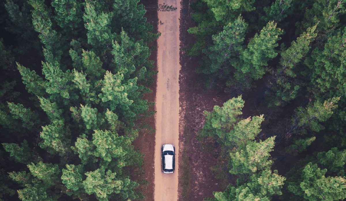 top view of black and white car driving in the space in between trees