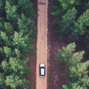 top view of black and white car driving in the space in between trees