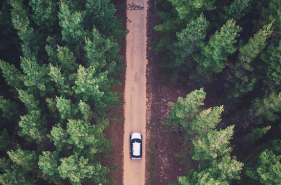 top view of black and white car driving in the space in between trees