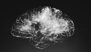 brain image in black and white on Sahar Huneidi Palmer blog