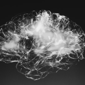 brain image in black and white on Sahar Huneidi Palmer blog