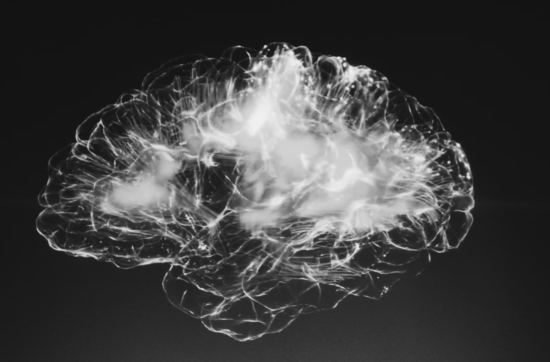 brain image in black and white on Sahar Huneidi Palmer blog