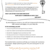 overview of Sahar Palmer's illustrated e-book on Your Dreams Decoded