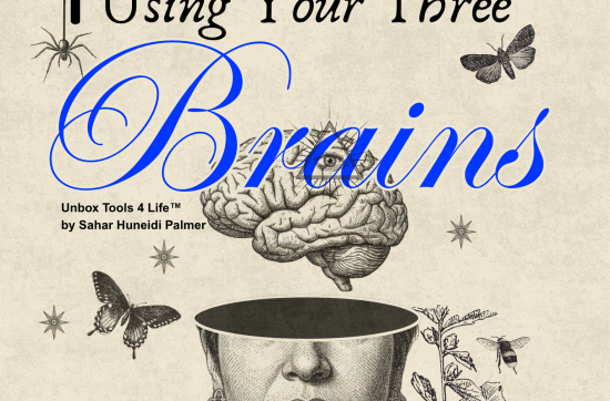 How To Resolve your fear eBook by Sahar Palmer show illustration of an open head releasing a brain